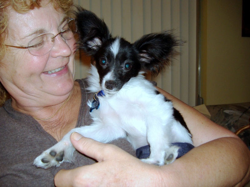 This is Dabber Doo...Daisy's new deckhand