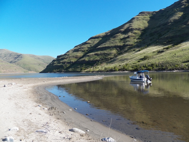 This is Kelly Bar, where I "anchored" for the night.  It is really the only sand bar on the reservoir.  I ran the boat aground and then walked the anchor up on the beach and stomped it into the sand.  "We're home."