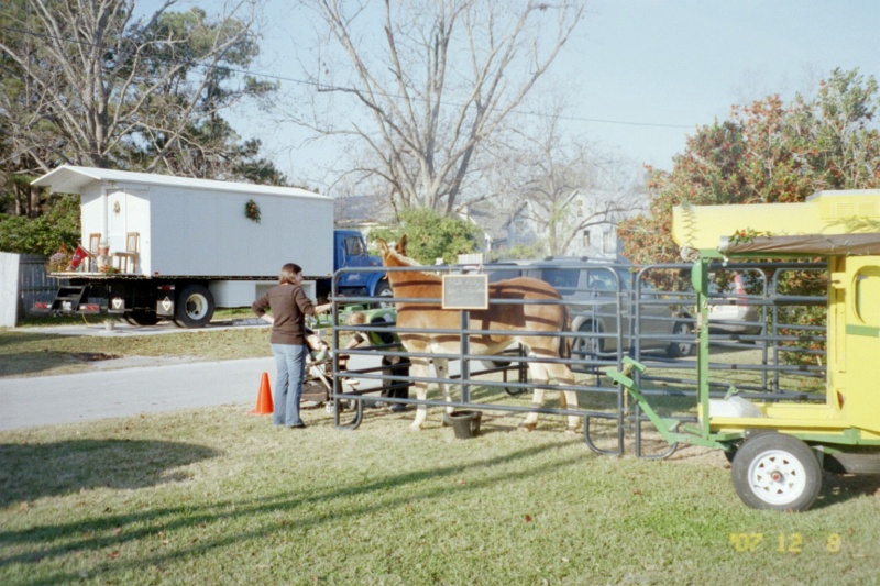 This is Polly getting ready for the Parade at Oriental NC 07