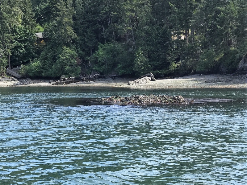 This is the reef I just about caught the bow of my boat on earlier when I was trying to assist a distressed boater the first time I came through this area!