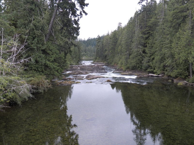 This is where the highway to Port Alice crosses the Marble River.  Years ago I kayaked down the river and then paddled to Coal Harbor to run the shuttle.  Lots of caves along the river, some showing signs of human habitation.