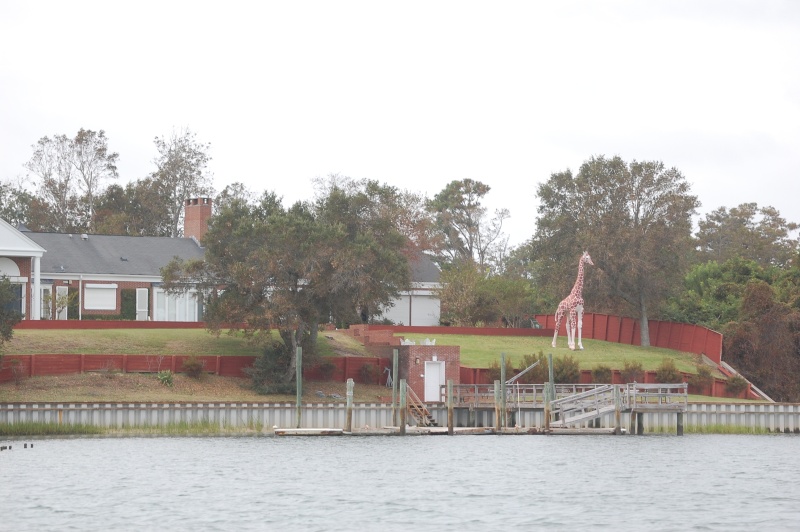 This was along the ICW north of Wrightsville Beach