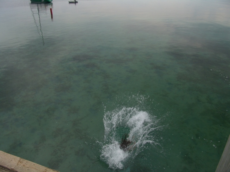 This water is colder than it looks.