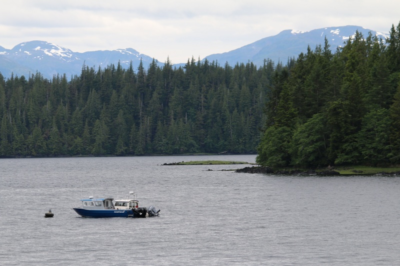 Thorne Arm, near Ketchikan, AK