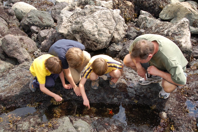 Tide pooling at Lime Kiln Park (San Juan Island).