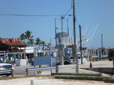 Tiki Bar southern tip of Marathon north side of the seven mile bridge as barely seen on the left side of the picture. You can drink and eat at their bar and actually go swimming in th pool. Great spot.