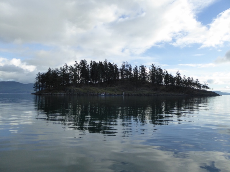 Tiny Armitage Island by Thatcher Pass. I had never been in here before.