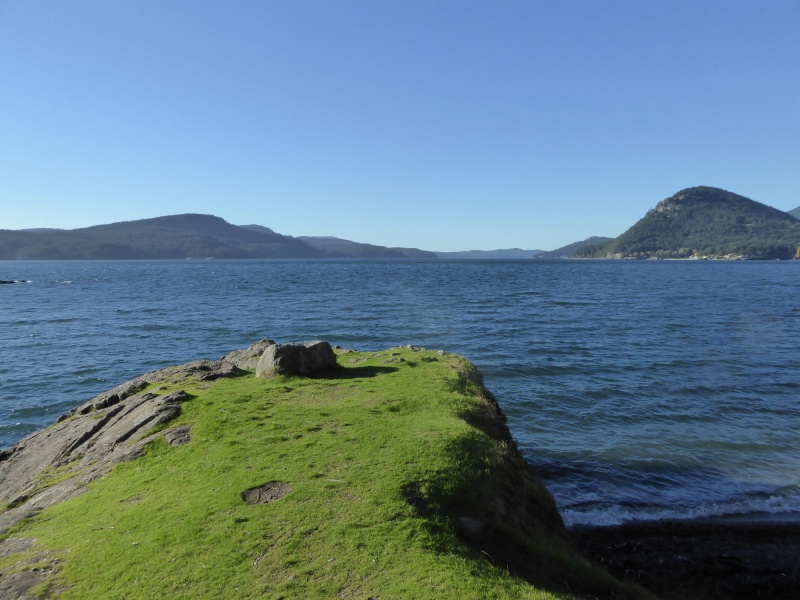 Tiny little point with panoramic view of East Sound