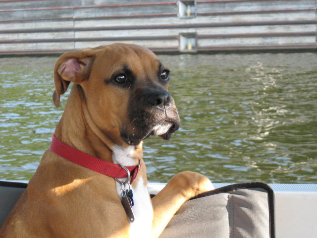 TN River 7-4-08 JO 143