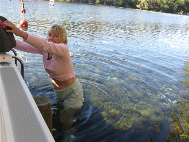 Toby wading ashore @ Silver Glen Springs off Lake George