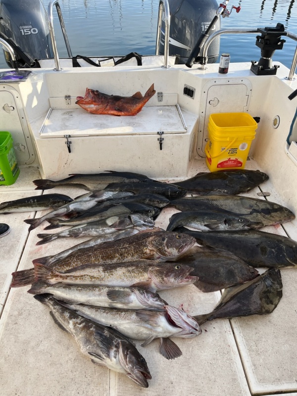 TomCat big haul