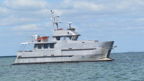 Tomcat's Aluminum Daddy seen in Buttonwood Sound Key Largo