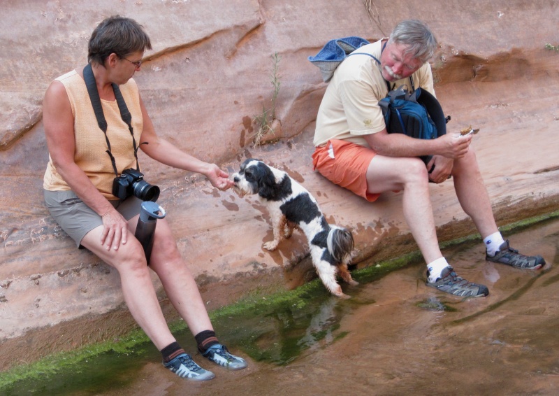 Toni, Baxter and Russ Take a Break at Smith Fork Canyon 9-20-10