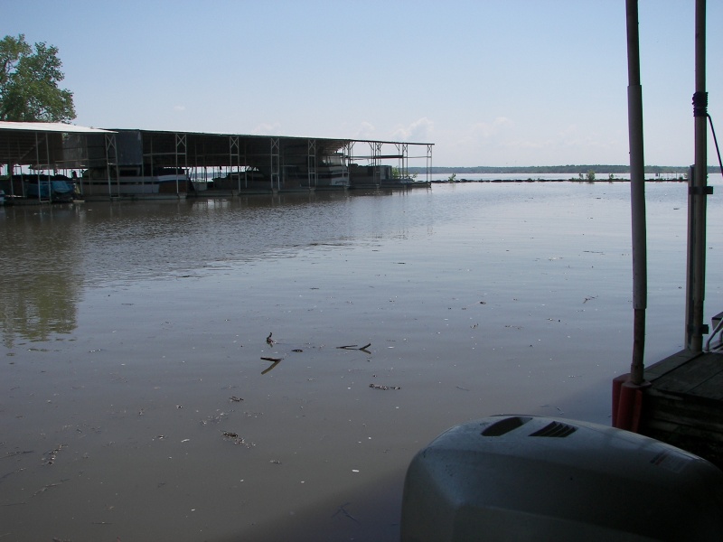 Tons of debris from heavy rains and floods.