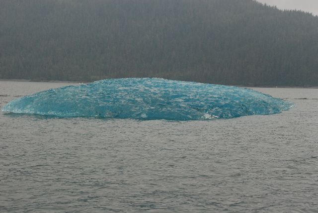 Too Big for the Cooler