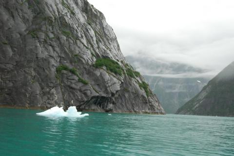 Tracy Arm Fiord