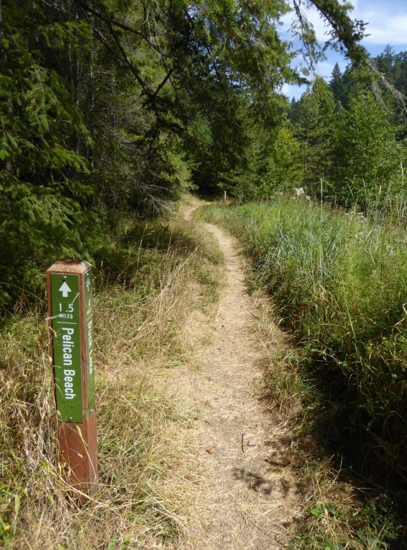 Trail at Eagle Harbor