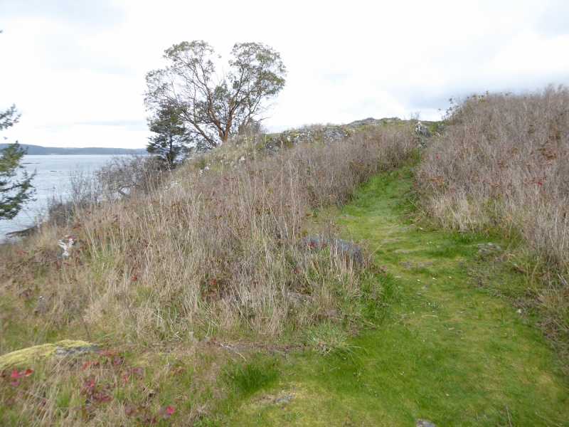 Trail to the top of Blind Island