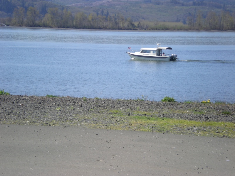 Traveler out for a Saturday cruise