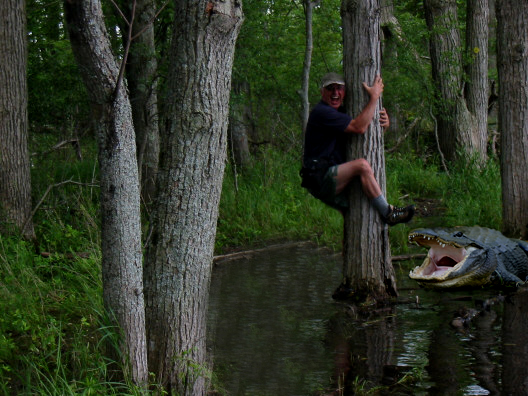 TreeHugger