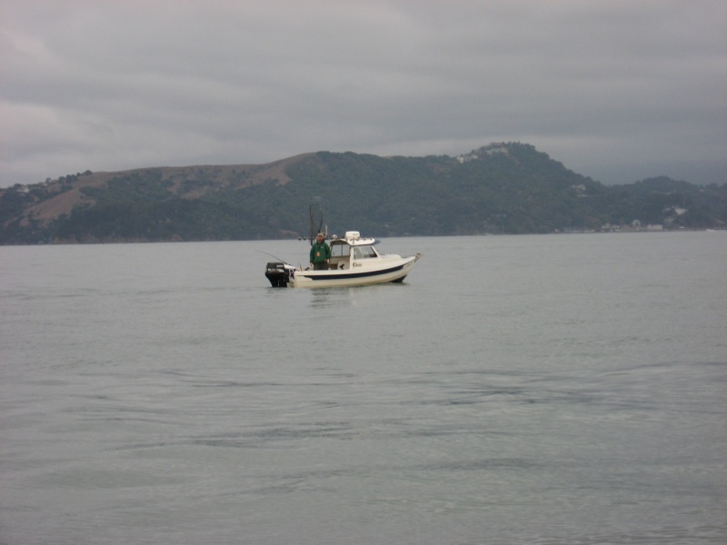Trolling SF Bay