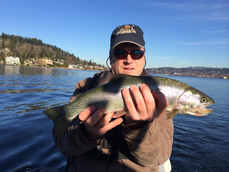 Trout