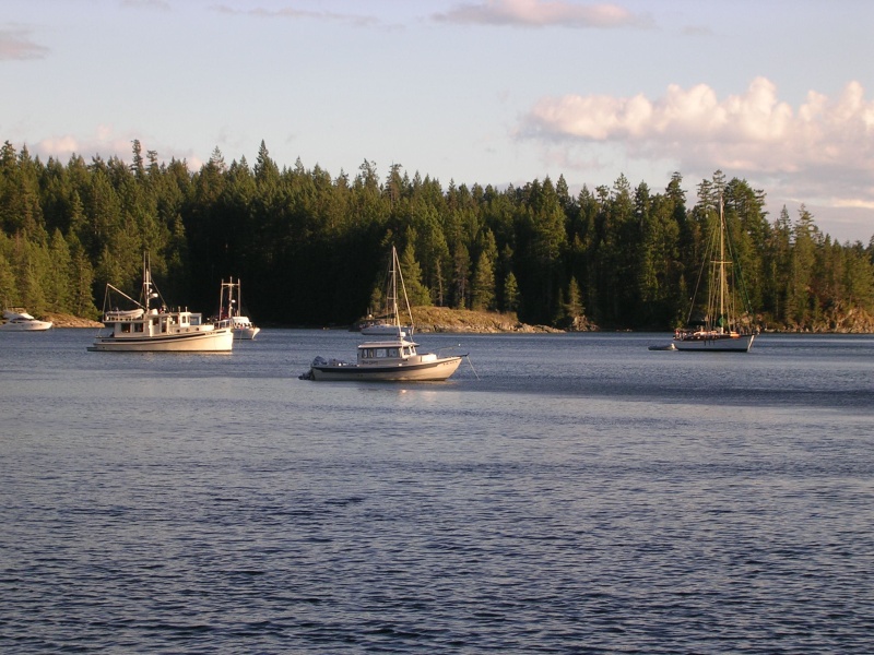 (True Story) Squirrel Cove and wind gusts