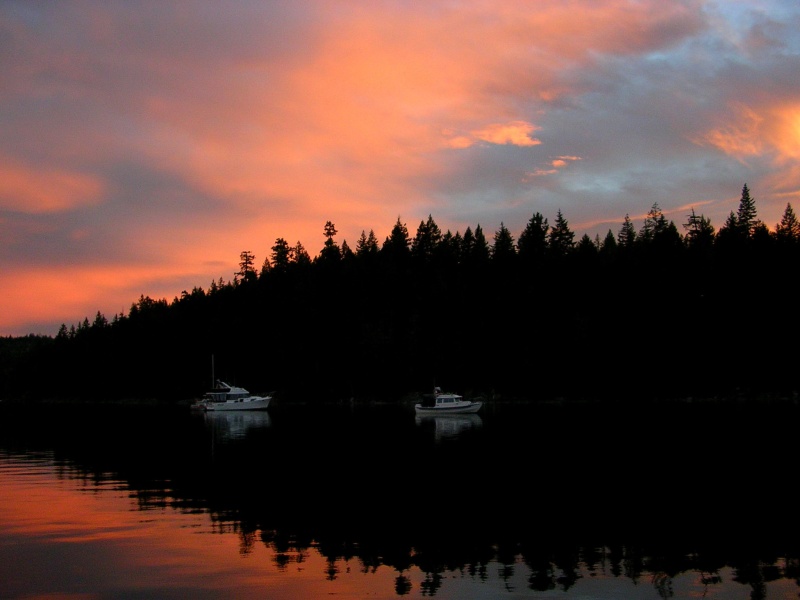 (True Story) Squirrel Cove at Dusk