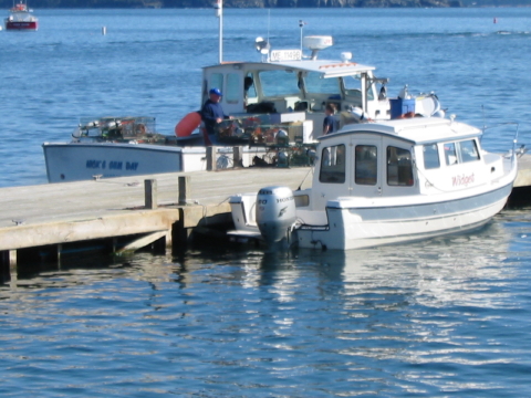 Trying to make friends with a Lobsterman