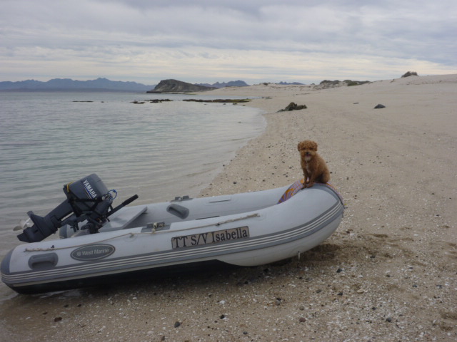Tuckers Boat
