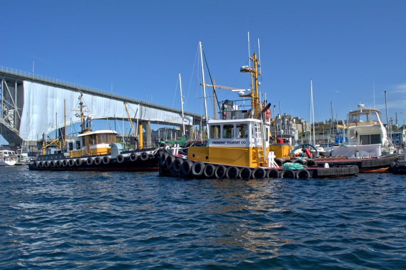 Tugs in Lake Union
