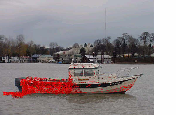 Tuna Blood.jpg