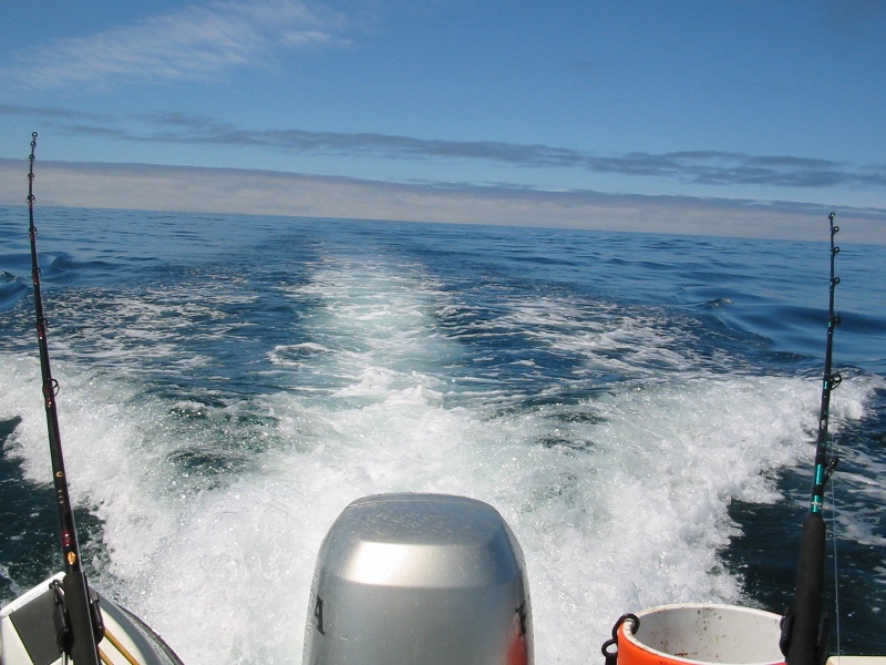 Tuna fishing 2 7-31-2007