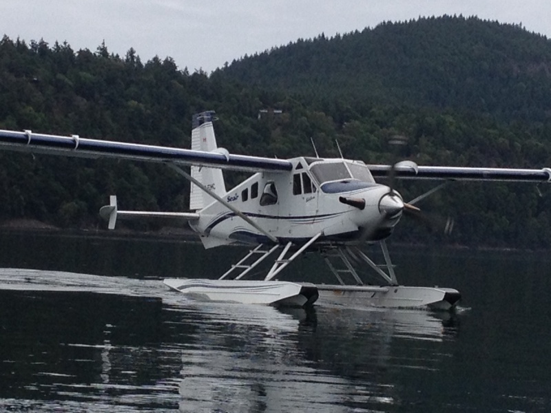 Turbo Beaver come to visit at Saturna