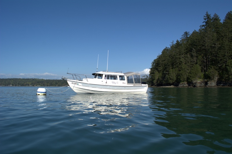 Turned into a flat calm sunny Saturday afternoon!