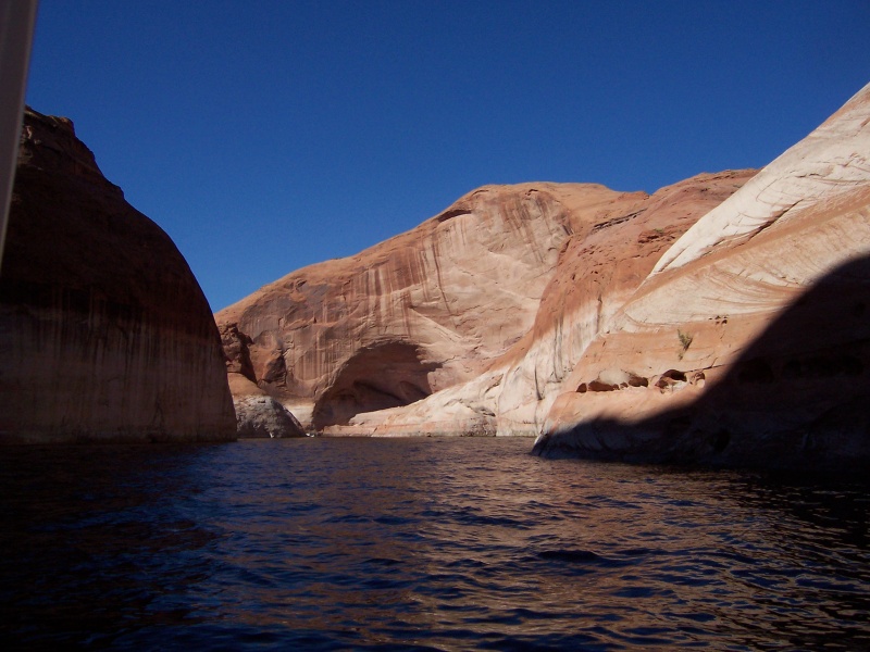 Two Bears and Hunky Dory in Davis Canyon on the Escalante River Arm 9-27