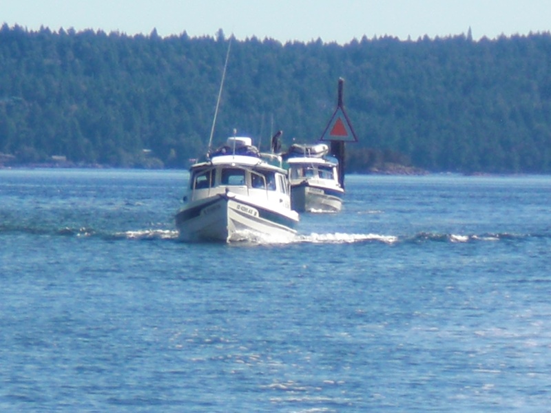 Two Bears and In Cahoots following Nomad through the cut.  The depth ranged from 7ft to 3ft at mid-tide!