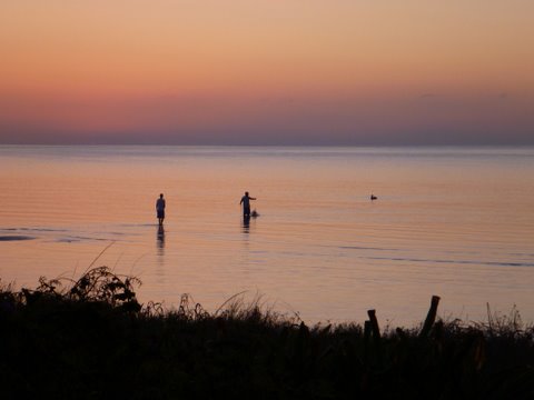 Two fisherman throwing a cast net at sunrise for bait while a pelican looks on