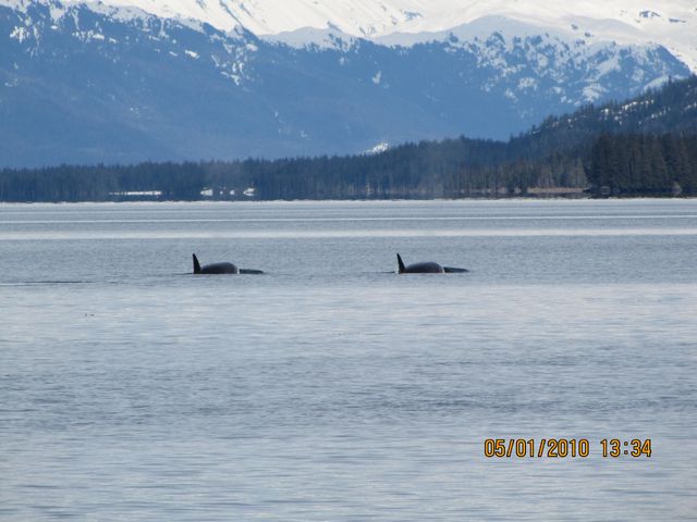 Two of three in the pod.