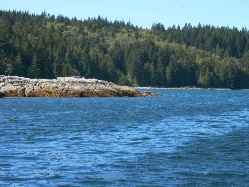 (TwoLuckyFish) Entering Squirrel Cove