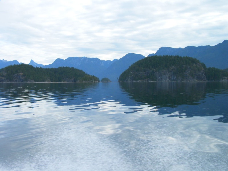(TwoLuckyFish) Flat Water