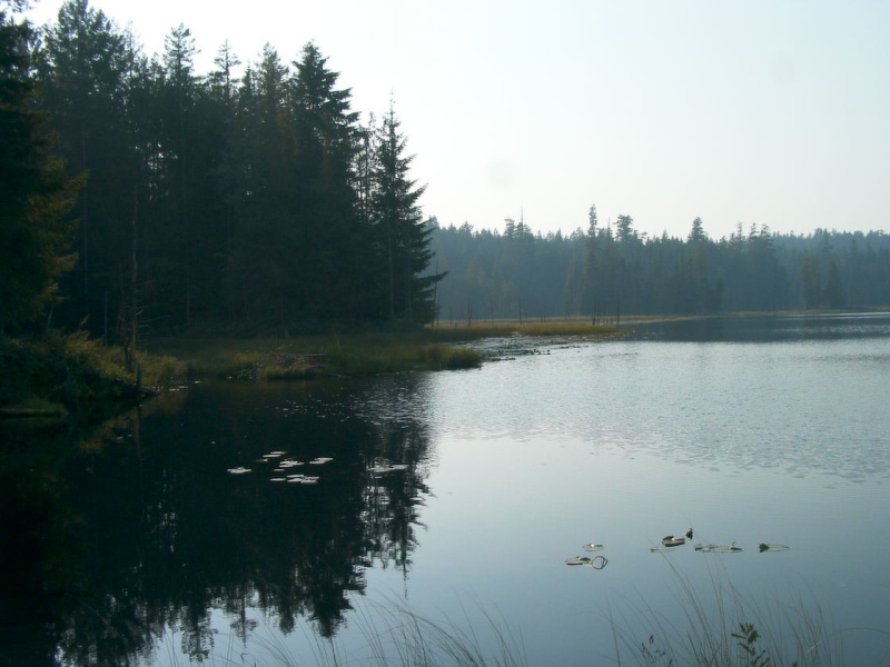 (TwoLuckyFish) Lake above Grace Harbor