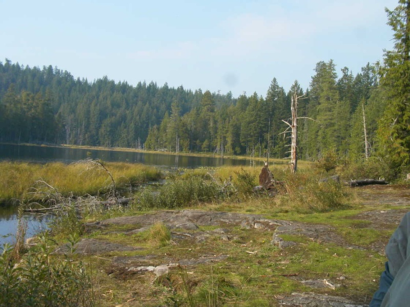 (TwoLuckyFish) Lake above Grace Harbor