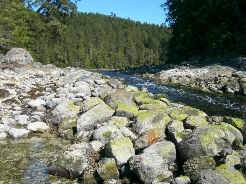 (TwoLuckyFish) Outgoing (reversing) Rapids at Squirrel Cove
