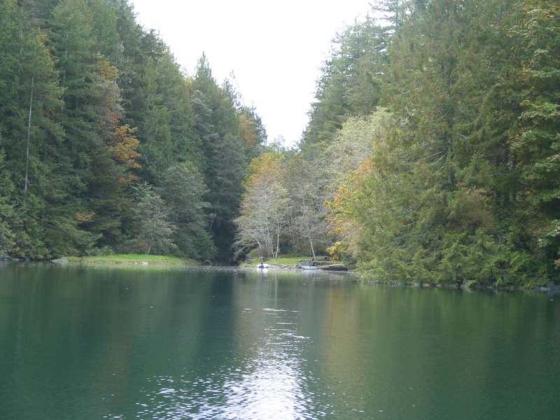 (TwoLuckyFish) Roscoe Cove