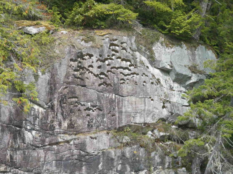 (TwoLuckyFish) Small caves or lichen?