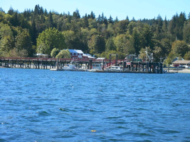 (TwoLuckyFish) Squirrel Cove Store & Dock