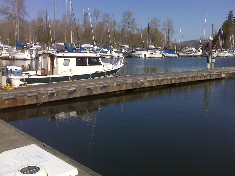 TyBoo all alone at the dock