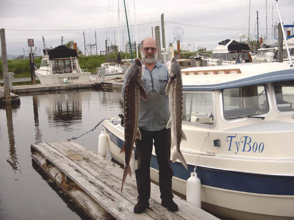 TyBoo fish 1.jpg