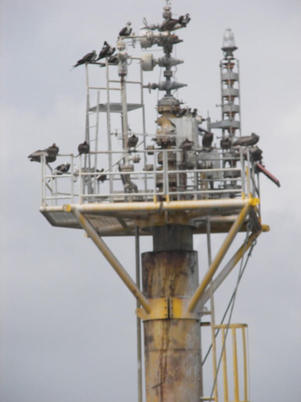 Ultimate beneficiaries of our oil thirst.